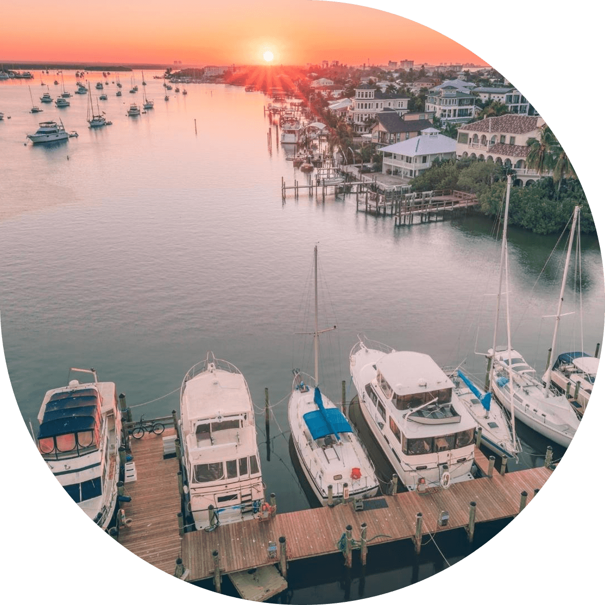 Professional boat services